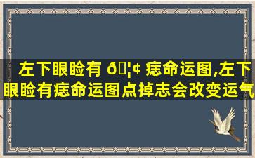 左下眼睑有 🦢 痣命运图,左下眼睑有痣命运图点掉志会改变运气吗